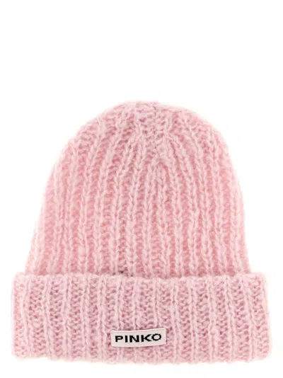 Pinko Armenia Beanie In Neutral