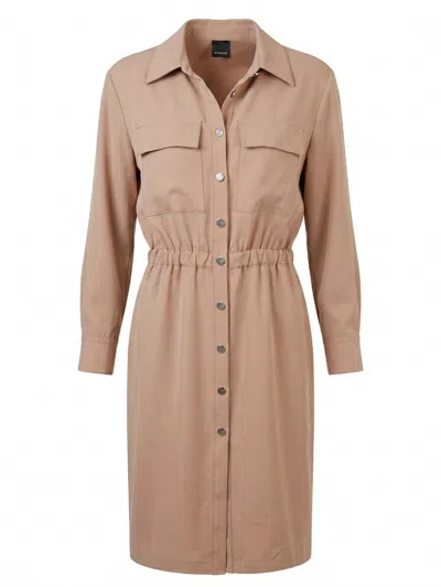 Pinko Arum Dress In Brown