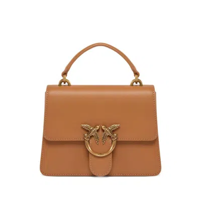 Pinko Bags In Brown
