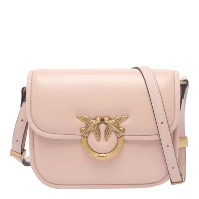 Pinko Bags In Powder