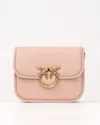 Pinko Bags In Powder