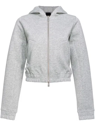 Pinko Birillo Hoodie Aus Jersey In Gray