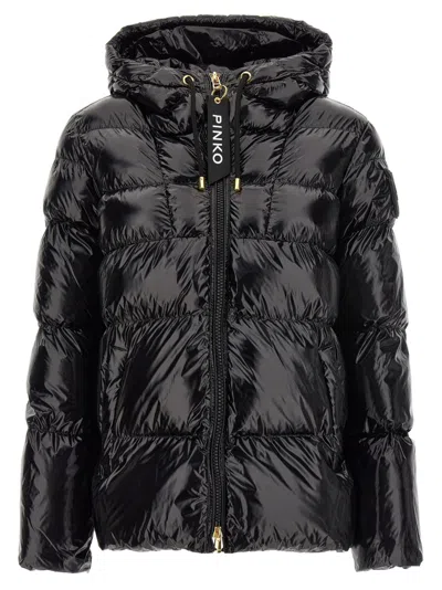 Pinko Black Eleodoro Down Jacket