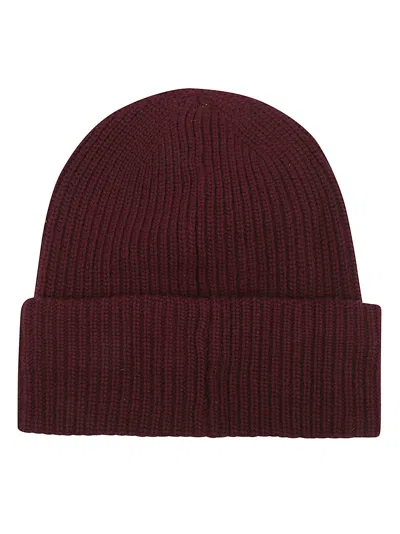 Pinko Bosnia Beanie Half English Rib In Burgundy