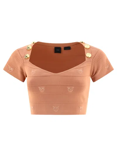 Pinko Brown Hooded Top For Women: Ss24 Collection