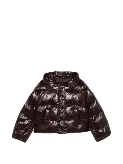 Pinko Brown Shiny Dough Crop Down Jacket With Hood And Pockets