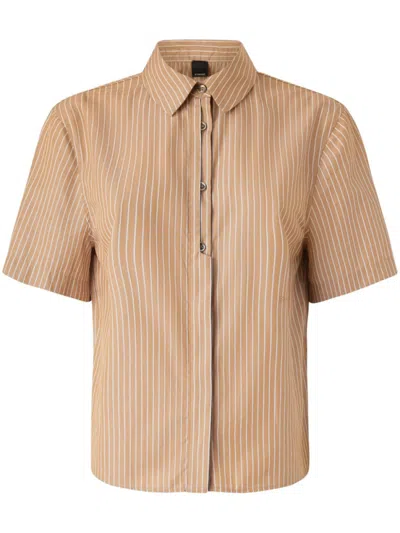 Pinko Brown Stripe Shirt In Neutral