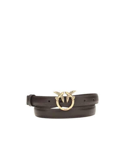 Pinko Buckle Belt In Brown