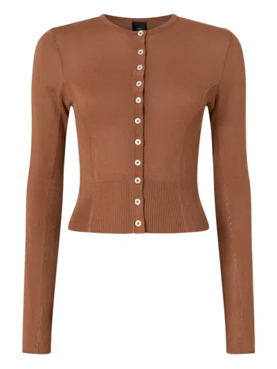 Pinko Buttoned Knitwear In Brown