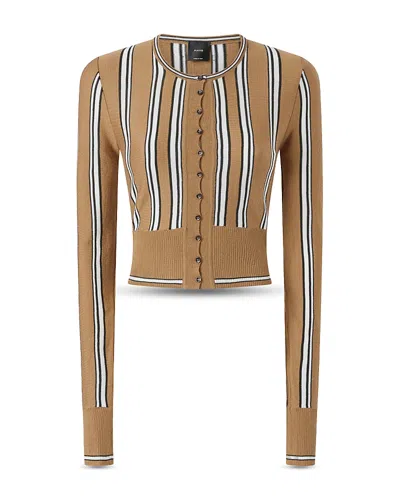 Pinko Calabria Cardigan In Brown
