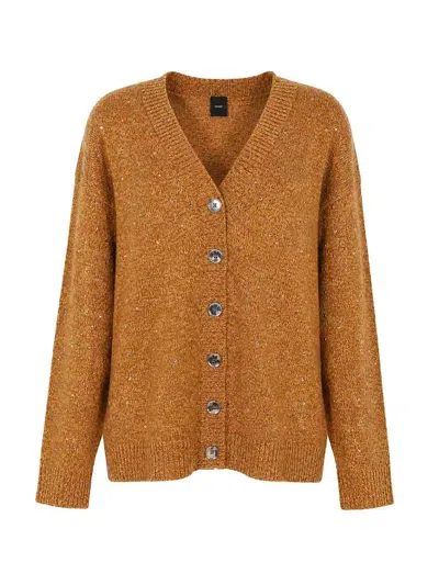 Pinko Cardigan Marche In Brown