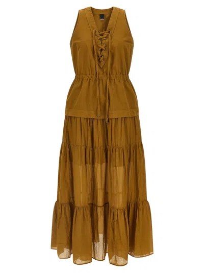 Pinko Brown Casarsa Dress