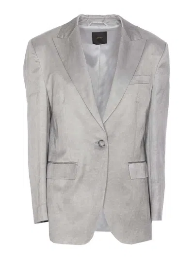 Pinko For You Jacket In Gris