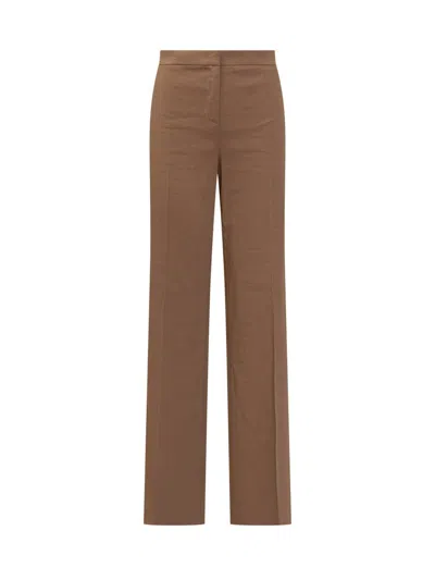Pinko Chicken Pants In Brown