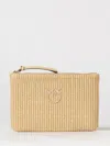 Pinko Raffia Pouch In Brown