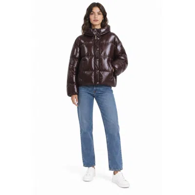Pinko Coats In Brown