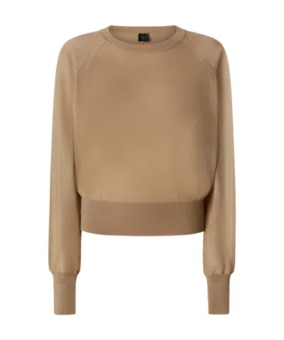 Pinko Crew Neck Sweater In Brown