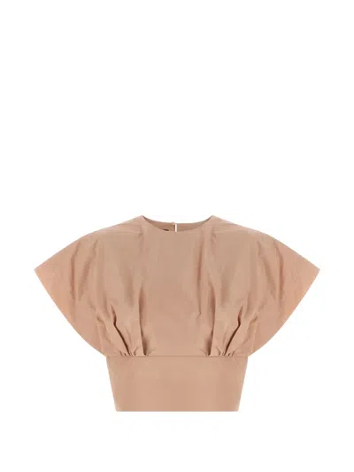 Pinko Asparago Top Round Neck Short Sleeves In Brown
