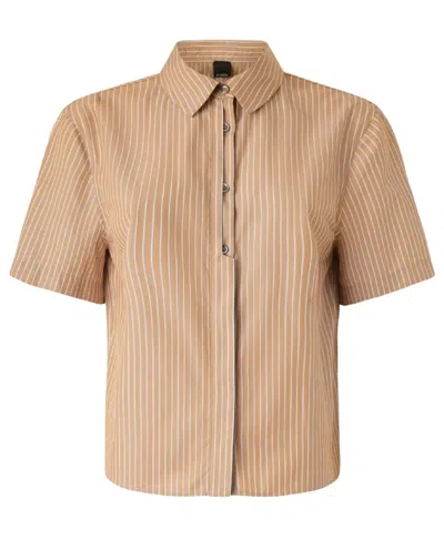 Pinko Cropped Cotton Shirt With Vertical Stripe Pattern In Brown+white