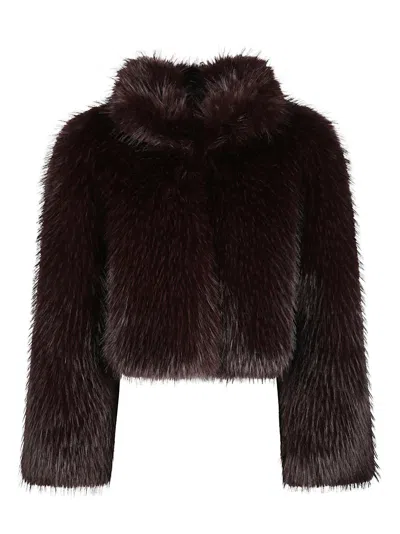 Pinko Cropped Faux Fur Jacket With High Collar And Sumptuous Texture In Brown