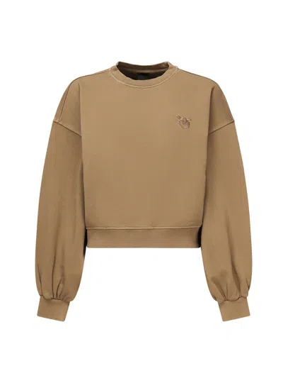 Pinko Cropped Sweatshirt With Logo In Brown