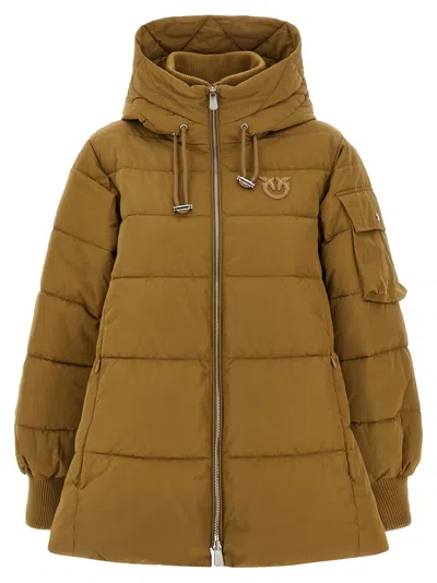 Pinko Crusca Down Jacket In Brown