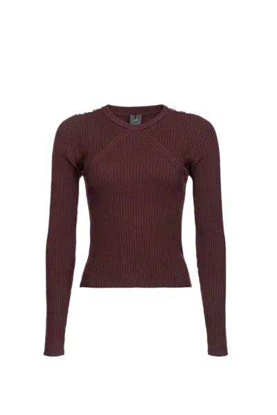 Pinko Diraspatura Sweater In Brown