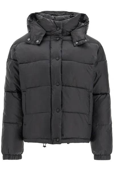 Pinko "down Jacket With Logo Patch In Black