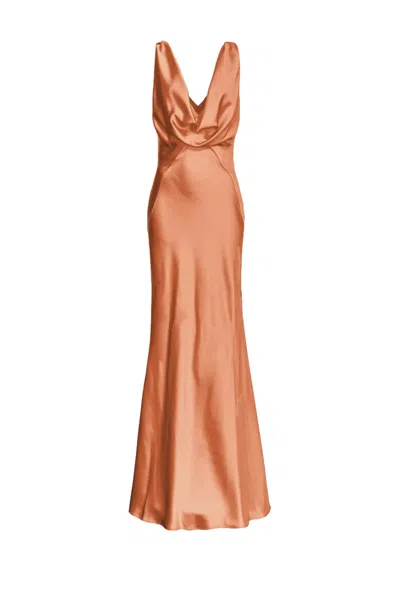 Pinko Arzigliano Dress In Brown