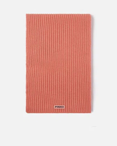 Pinko Ribbed Wool And Cashmere Scarf In Red-bright Coral