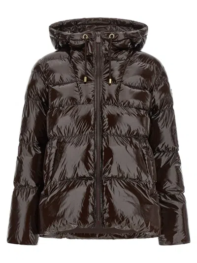 Pinko Eleodoro Down Jacket In Black