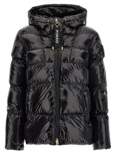 PINKO PINKO 'ELEODORO' DOWN JACKET