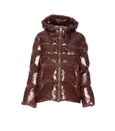 Pinko Eleodoro Down Jacket In Brown