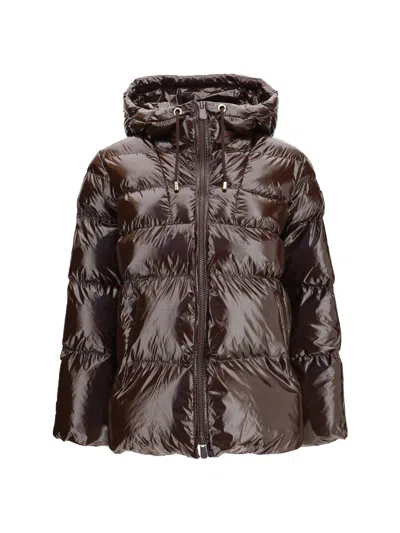Pinko Eleodoro Down Jacket In Brown