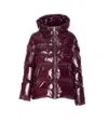 Pinko Eleodoro Down Jacket In Burgundy