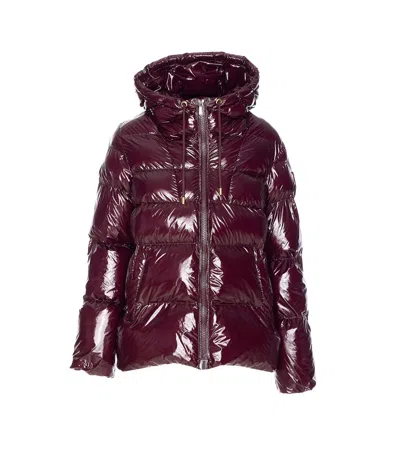 Pinko Eleodoro Down Jacket In Burgundy