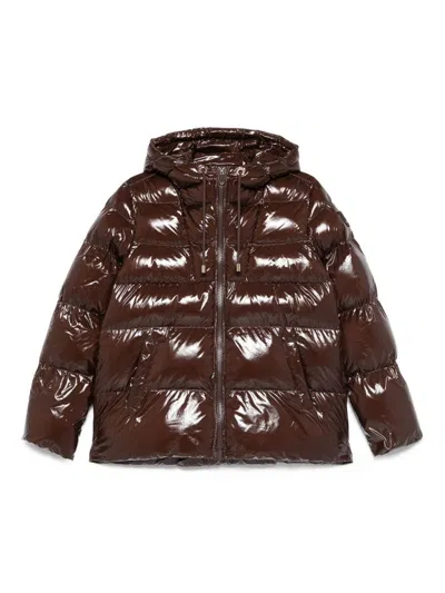 Pinko 'eleodoro' Short Down Jacket In Brown