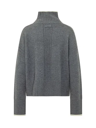 Pinko Falkland Sweater 90 In Gray