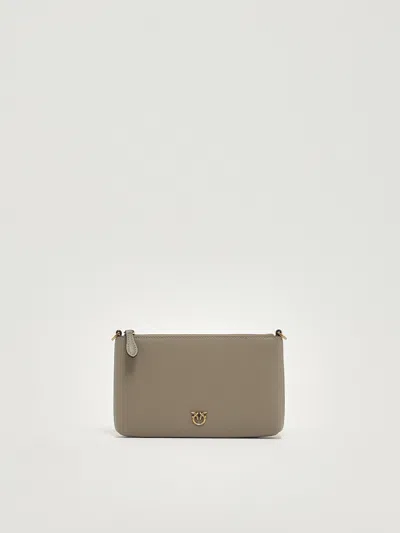 Pinko Flat Horizontal Mini Clutch In Brown
