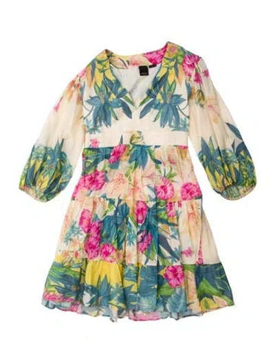 Pre-owned Pinko Floral Print Mini Dress In Multi