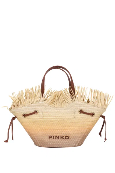 Pinko Handbag In Brown
