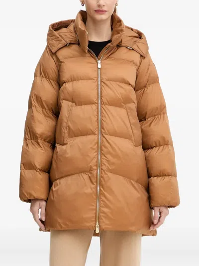 Pinko Hooded Quilted Jacket In Brown