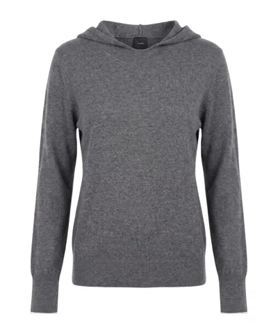 Pinko Hooded Sweater In Multi