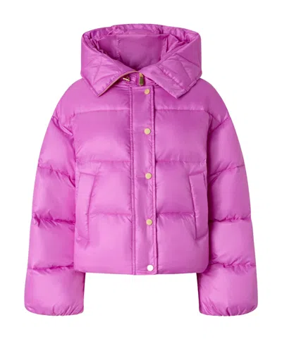 Pinko Impasto Imbottito Tela Tecnica Semilucida Trapuntata In Purple