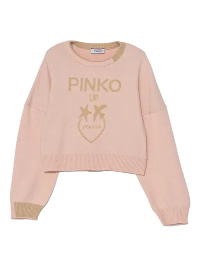 Pinko Pullover Mit Intarsien-logo In Rosa