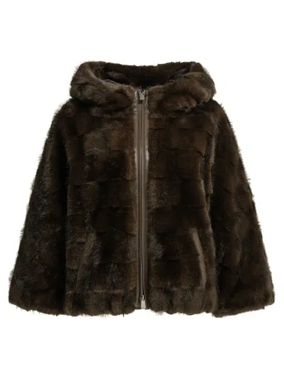Pinko Jackets & Coats In Brown