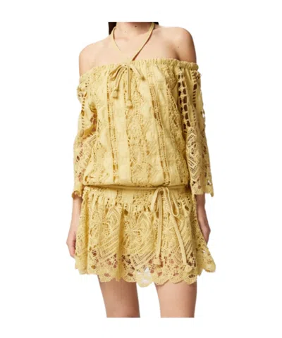 Pinko Lace Mini Dress In Brown