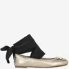 Pinko Gioia Birds Ballerina Shoes In Grey