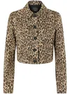 Pinko Jacke Mit Leoparden-print In Brown