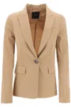 Pinko Single-breasted Dart-detail Blazer In Marrone